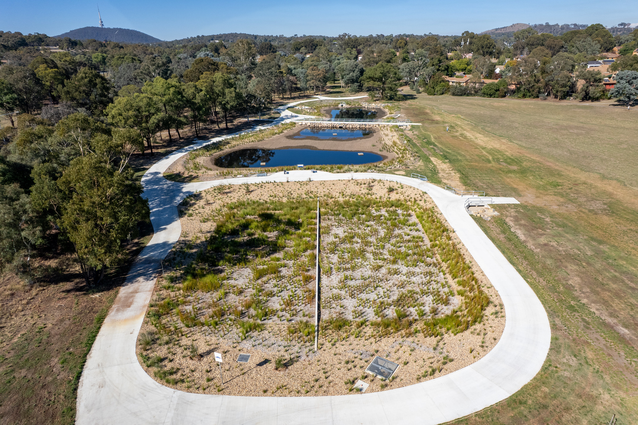 Belconnen Oval Wetland is now open Main Image